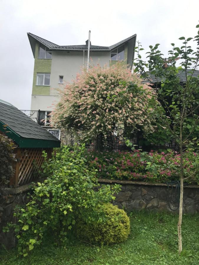 Apartament Ярдана Skhidnytsia Zewnętrze zdjęcie
