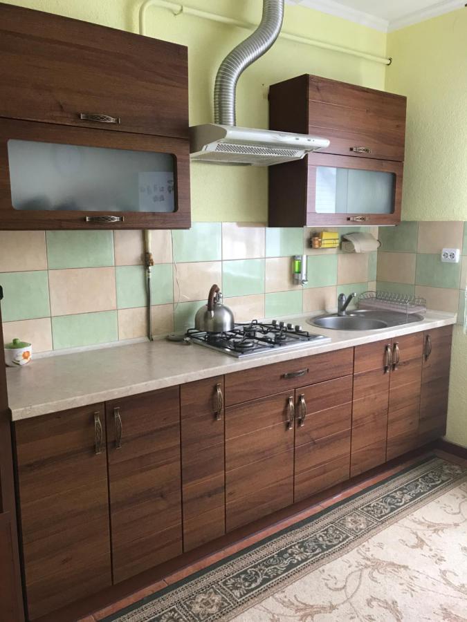 Apartament Ярдана Skhidnytsia Zewnętrze zdjęcie